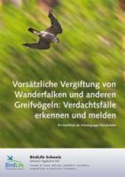 Vorsätzliche Vergiftung von Wanderfalken und anderen Greifvögeln