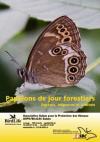 Papillons de jour forestiers