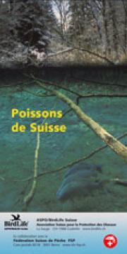 Poissons de Suisse