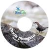 Présentation "Oiseau de l'année 2017: cincle plongeur"