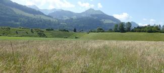 Pays-d'Emhaut
