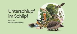 Visual Crowdfunding Projekt