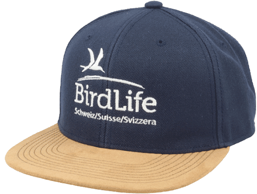 Cappellino BirdLife