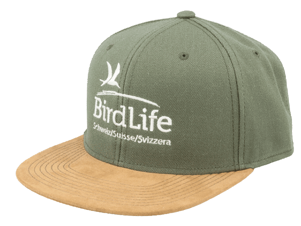 Casquette BirdLife