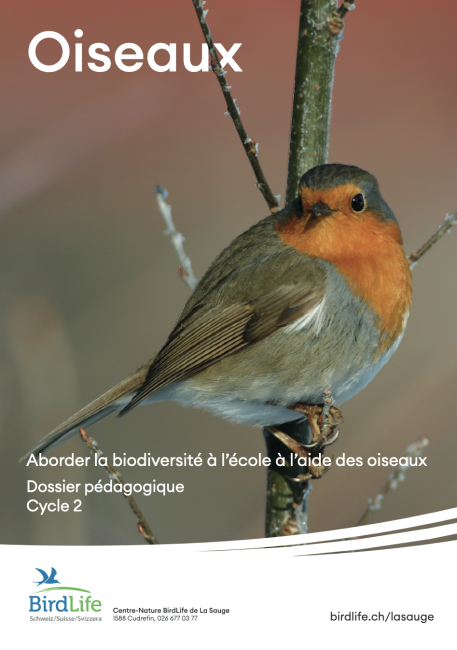 Dossier pédagogique Oiseaux