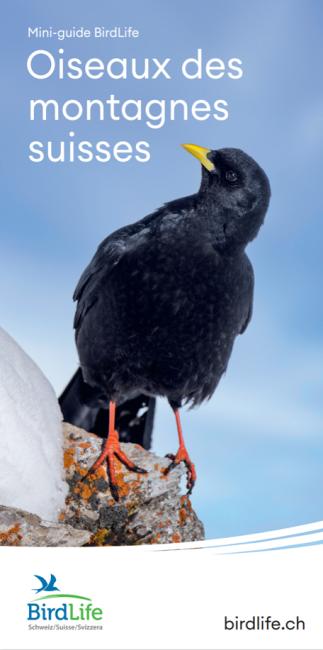 Oiseaux des montagnes suisses