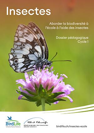 Dossier pédagogiques insectes - cycle 1