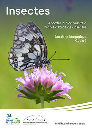 Dossier pédagogiques insectes - cycle 2