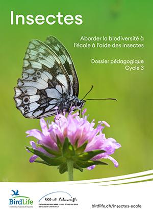 Dossier pédagogiques insectes - cycle 3