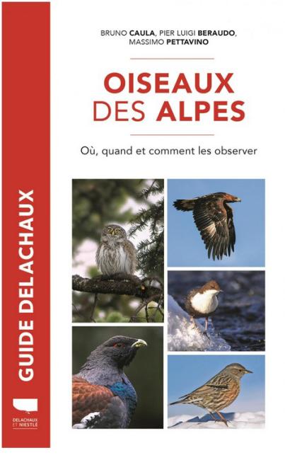Oiseaux des Alpes