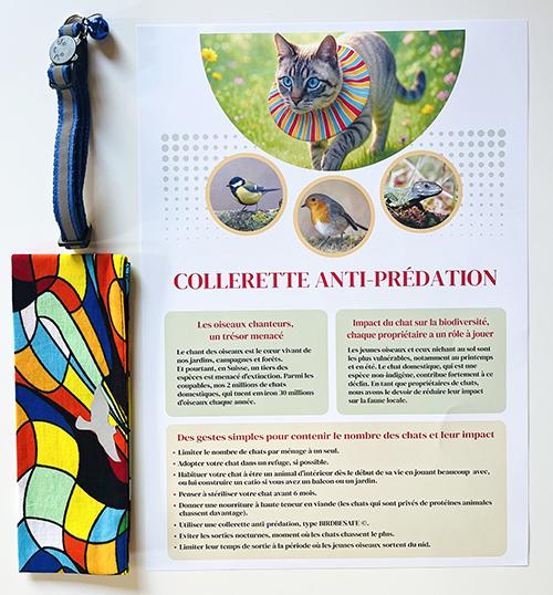 Set collerette pour chats