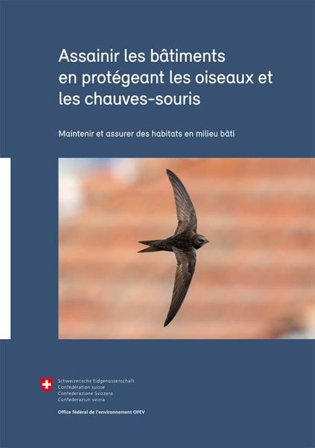  Assainir les bâtiments en protégeant les oiseaux et les chauves-souris