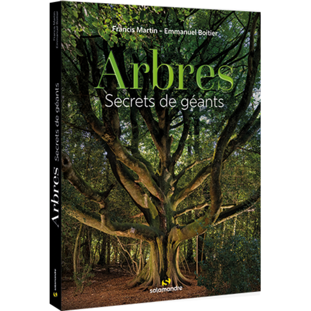 Arbres - Secrets de géants