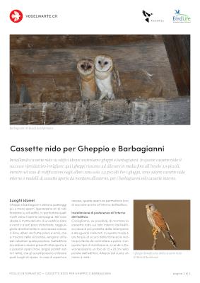 Cassette nido per Gheppio e Barbagianni