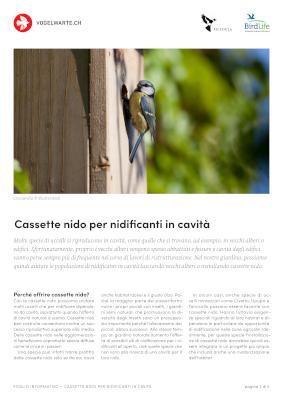 Cassette nido per nidificanti in cavit&agrave;