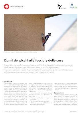 Danni dei picchi sulle facciate delle case