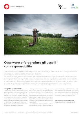 Osservare e fotografare gli uccelli con responsabilit&agrave;