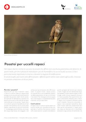 Posatoi per uccelli rapaci