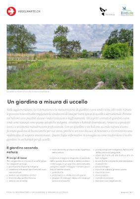 Un giardino a misura di uccello