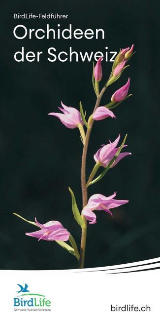 Orchideen der Schweiz