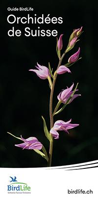 Mini-guide Orchid&eacute;es de Suisse