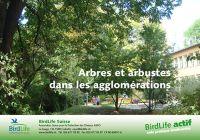 Arbres et arbustes dans les agglomérations