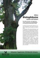 Aktion Biotopbäume suchen und sichern