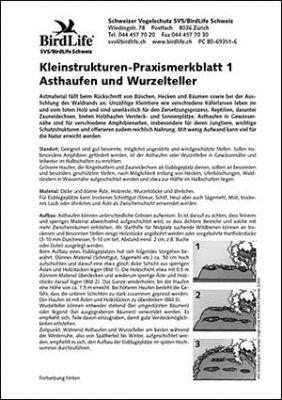 Kleinstrukturen-Praxismerkblatt 1 &ndash; Asthaufen und Wurzelteller