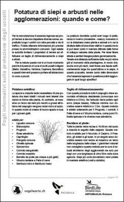 Potatura di siepi e arbusti nelle agglomerazioni: quando e come?