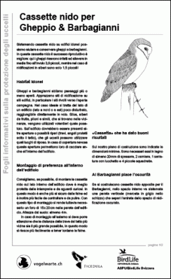 Cassette nido per Gheppio & Barbagianni