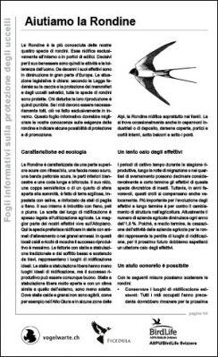 Aiutiamo la Rondine