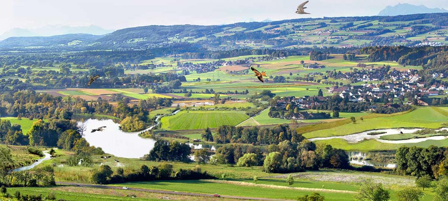 Infrastructure écologique