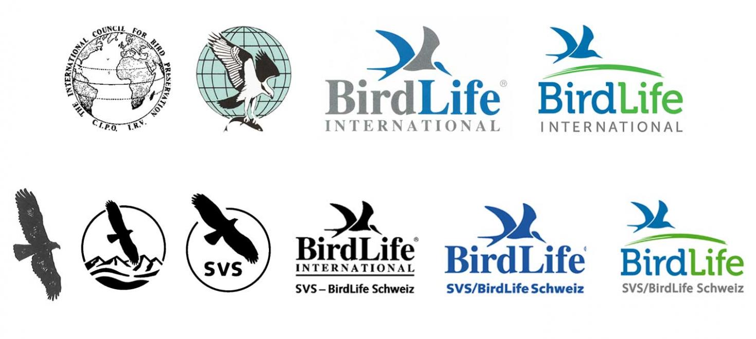 100 Jahre Birdlife Birdlife Schweizsuissesvizzera