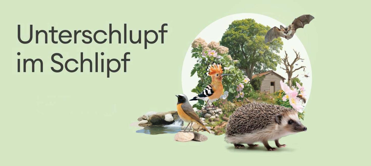 Unterschlupf im Schlipf