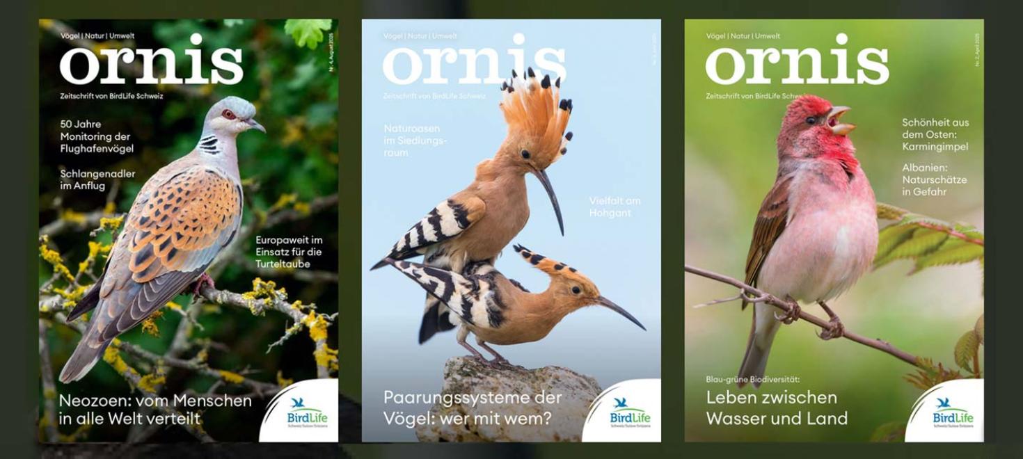 Ornis