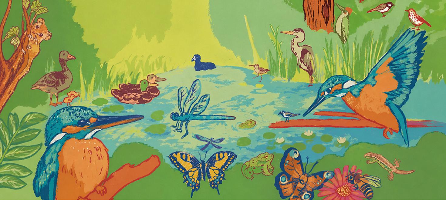 Crowdfunding Centre-Nature BirdLife de La Sauge