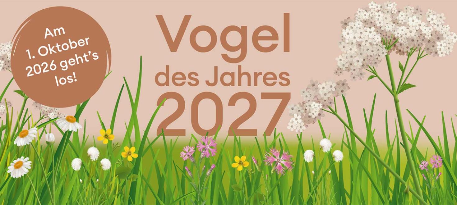 Vogel des Jahres 2027 Wahl