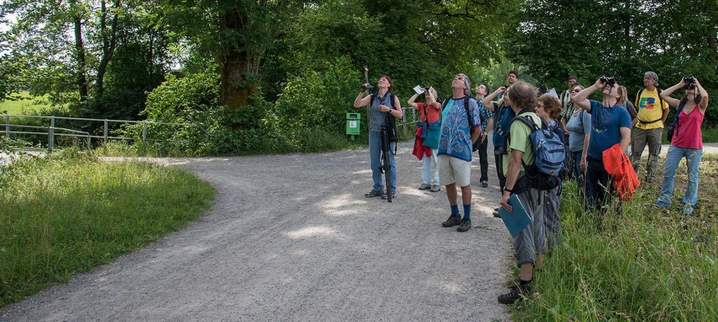 Cours d'ornithologie